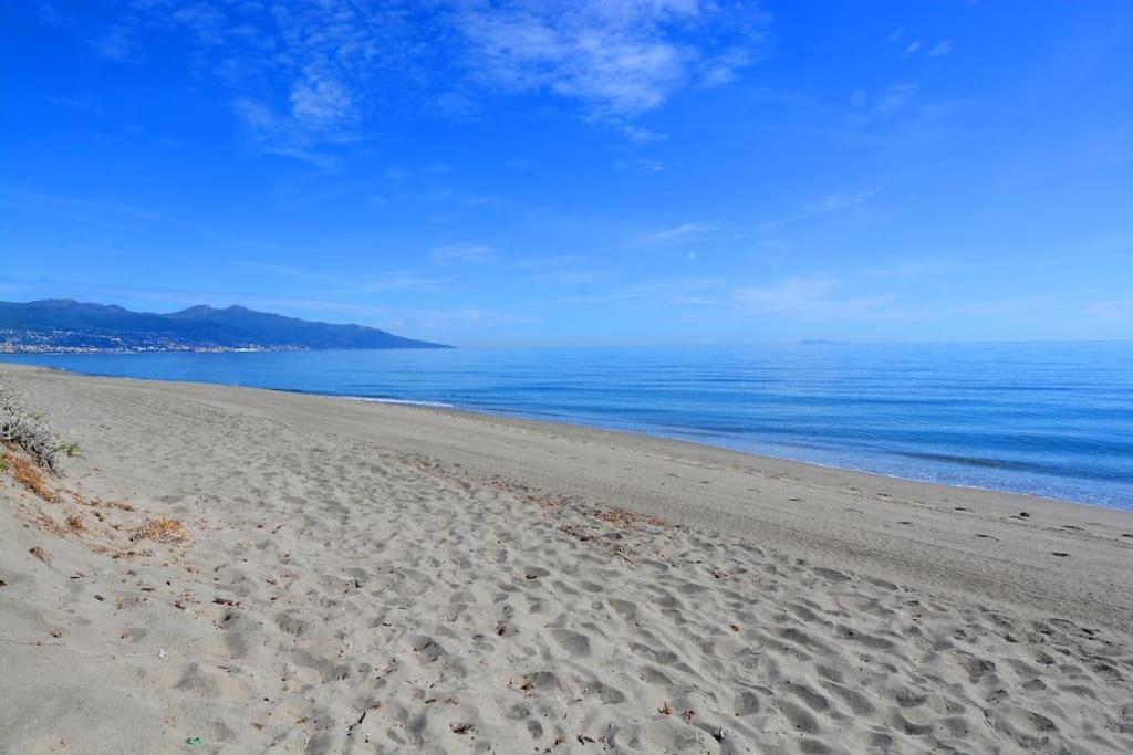 5 Min Des Plages - Appt 2 Chambres A Casa Bella Lucciana  Extérieur photo